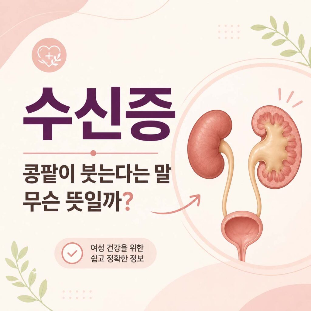 수신증