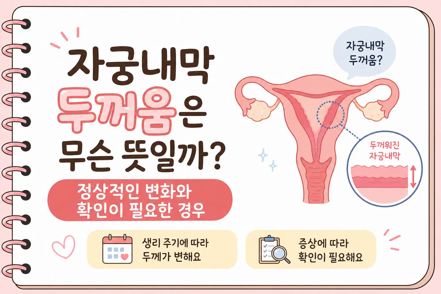 자궁내막 두꺼움은 무슨 뜻일까? 정상적인 변화와 확인이 필요한 경우